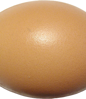 Farm Fresh Eggs